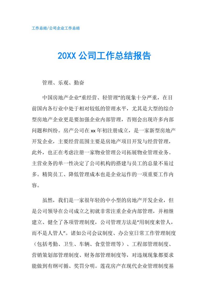 20XX公司工作总结报告.doc_第1页