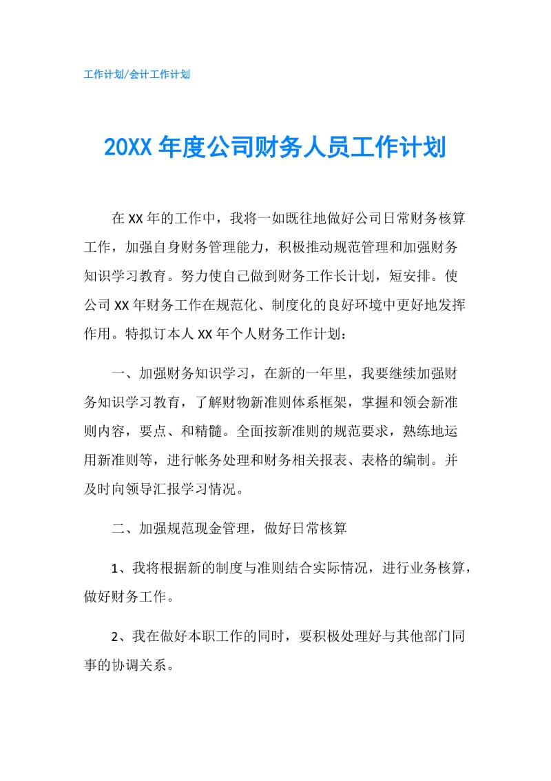 20XX年度公司财务人员工作计划.doc_第1页