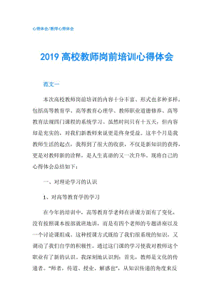 2019高校教師崗前培訓(xùn)心得體會(huì).doc