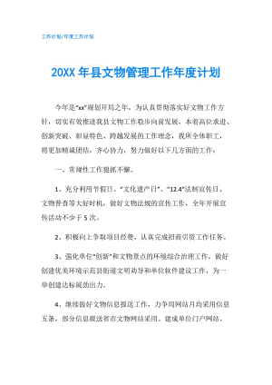 20XX年县文物管理工作年度计划.doc
