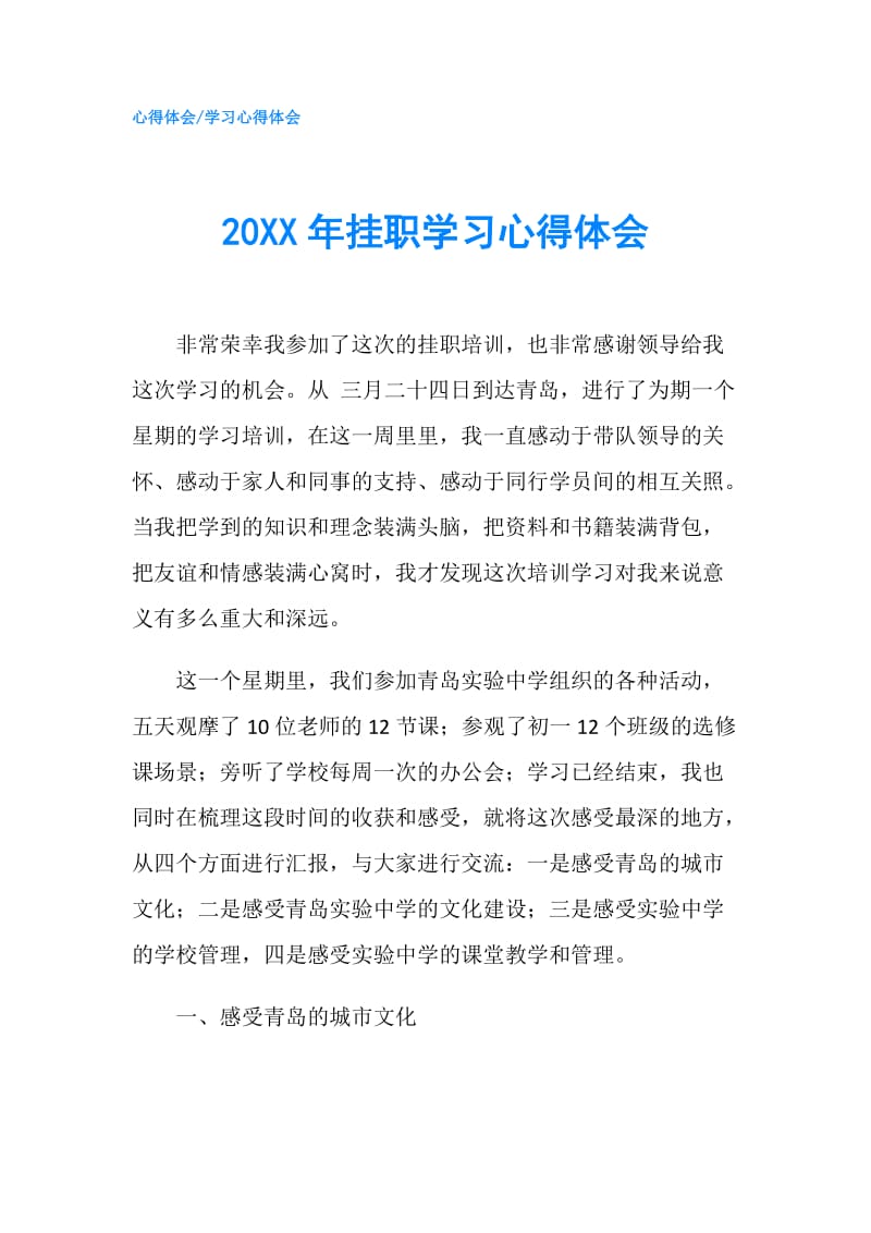 20XX年挂职学习心得体会.doc_第1页