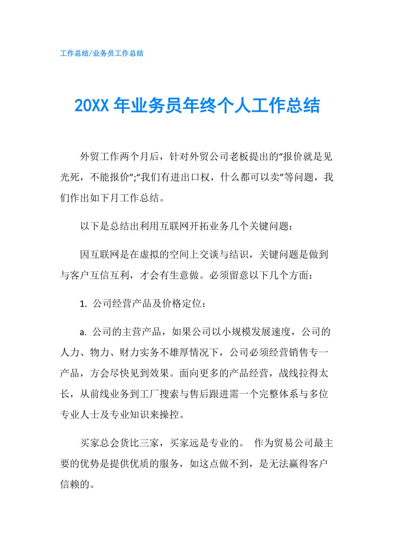 20XX年业务员年终个人工作总结.doc_第1页