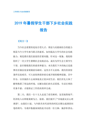 2019年暑假學(xué)生干部下鄉(xiāng)社會(huì)實(shí)踐報(bào)告.doc