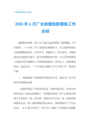 20XX年6月廠長(zhǎng)助理掛職鍛煉工作總結(jié).doc