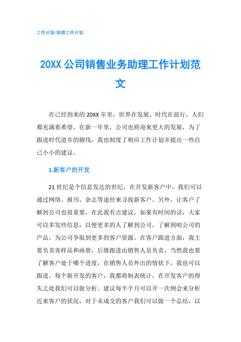 20XX公司销售业务助理工作计划范文.doc_第1页