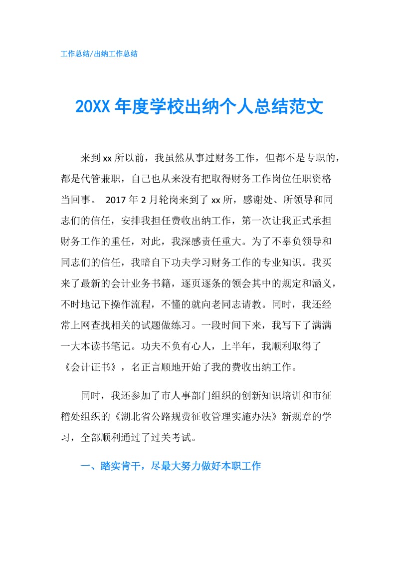 20XX年度学校出纳个人总结范文.doc_第1页