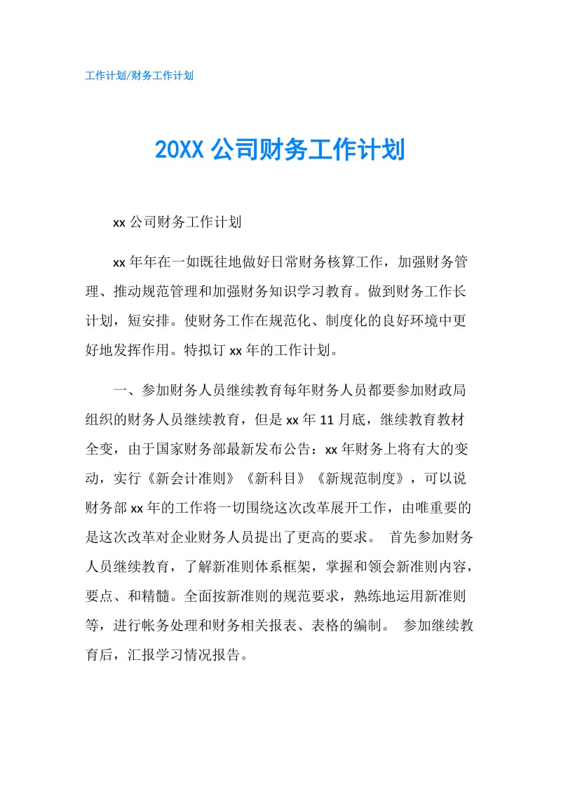 20XX公司财务工作计划.doc_第1页