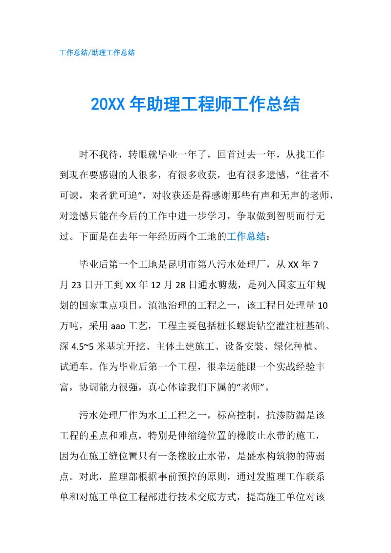 20XX年助理工程师工作总结.doc_第1页