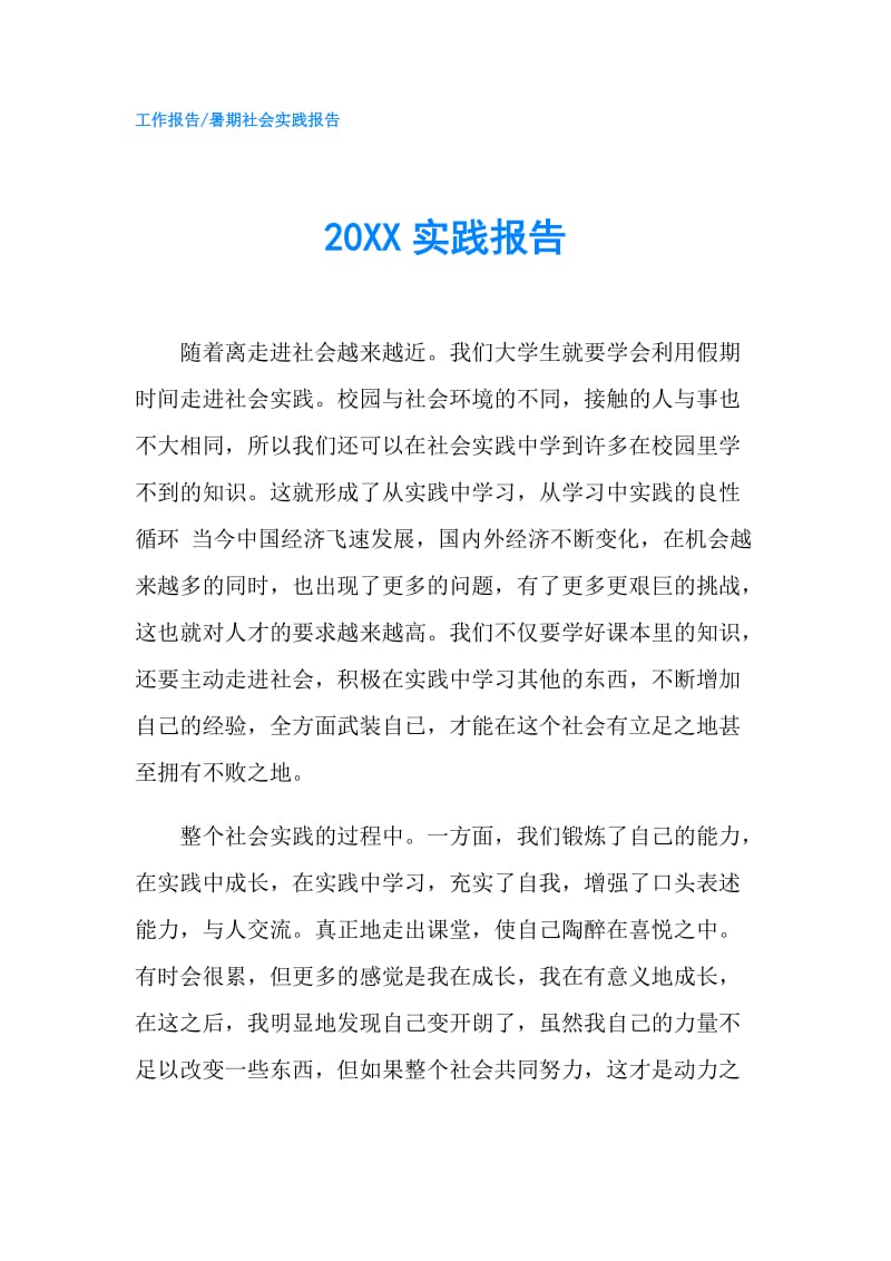 20XX实践报告.doc_第1页