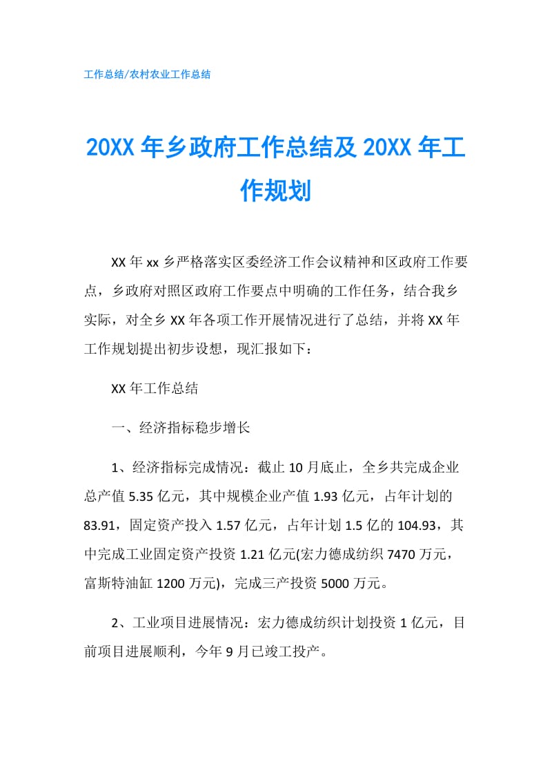 20XX年乡工作总结及20XX年工作规划.doc_第1页