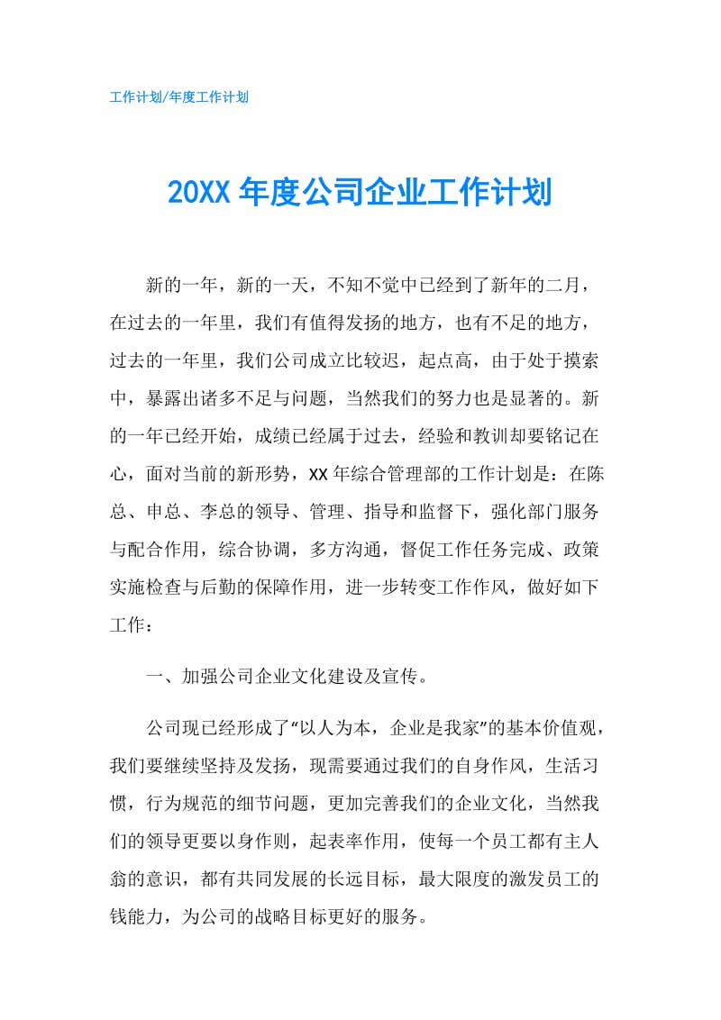 20XX年度公司企业工作计划.doc_第1页