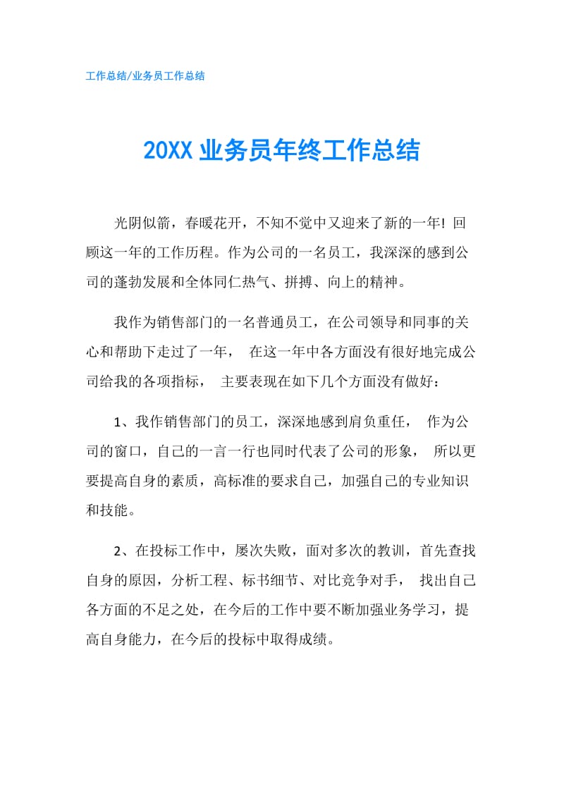 20XX业务员年终工作总结.doc_第1页