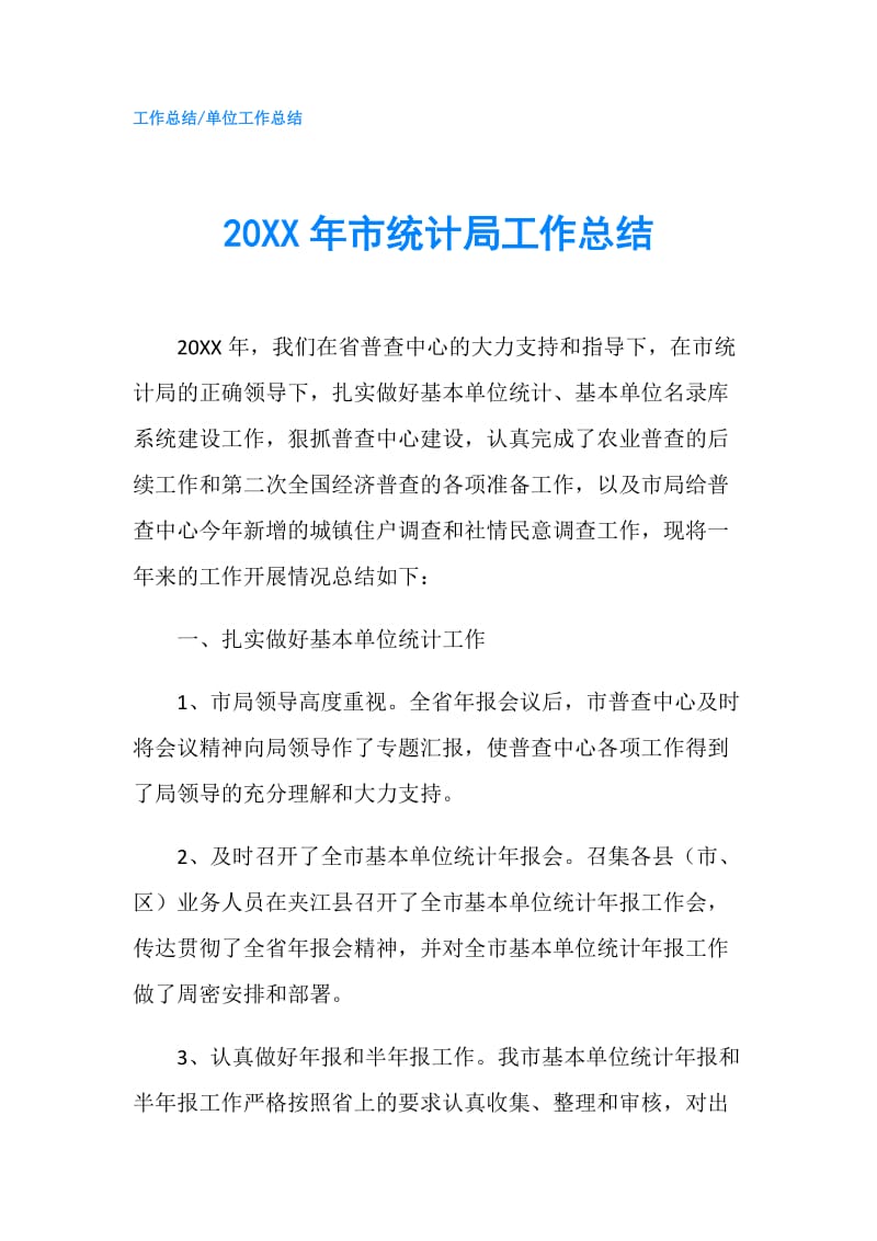 20XX年市统计局工作总结.doc_第1页