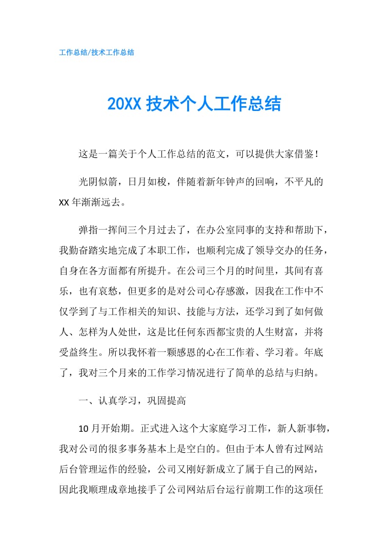 20XX技术个人工作总结.doc_第1页