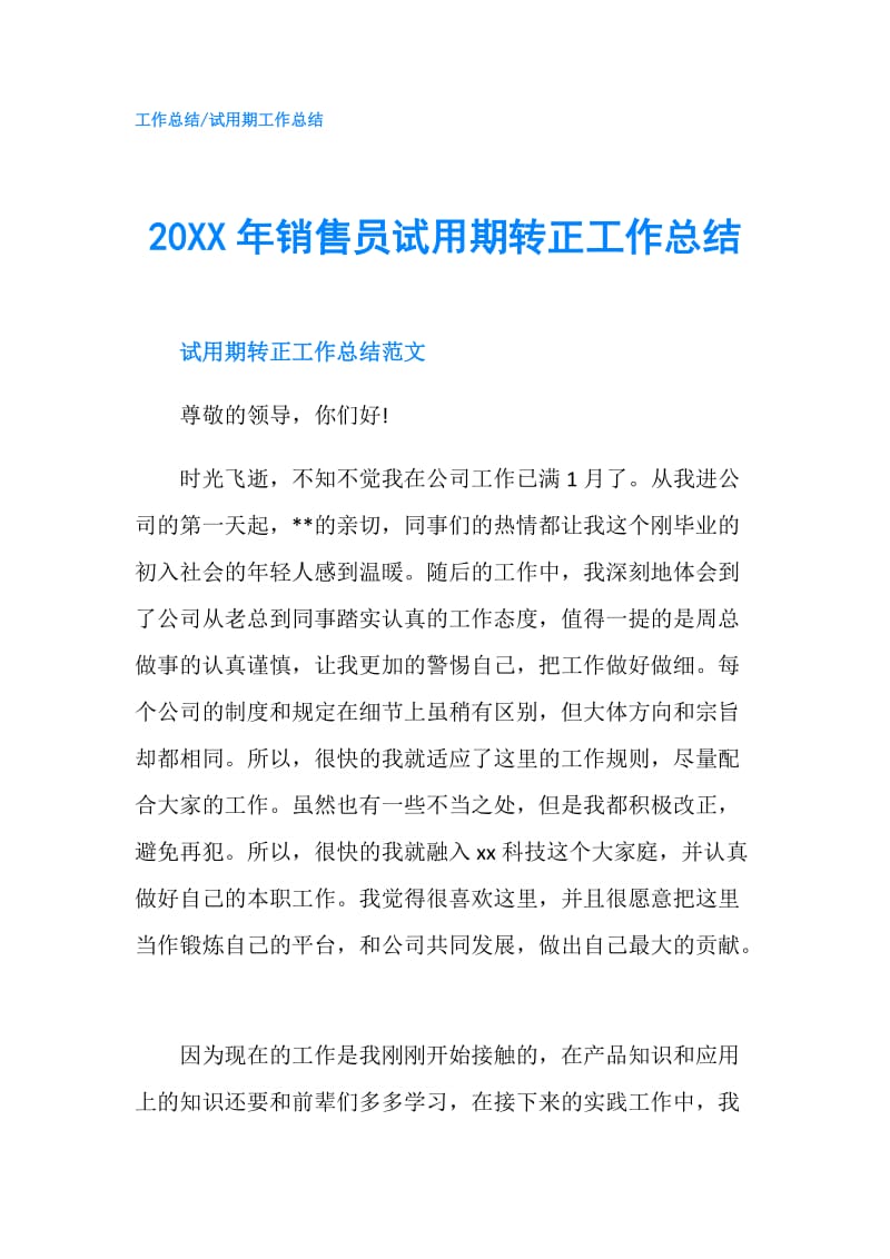 20XX年销售员试用期转正工作总结.doc_第1页