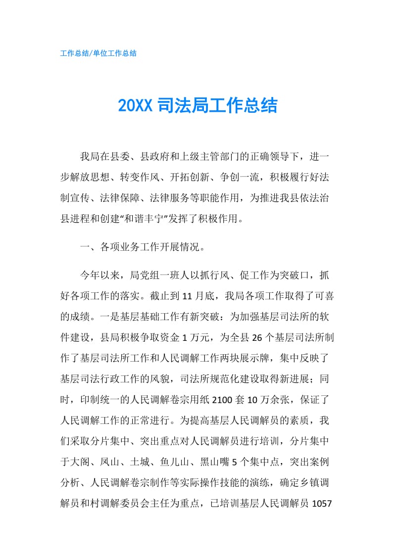 20XX司法局工作总结.doc_第1页