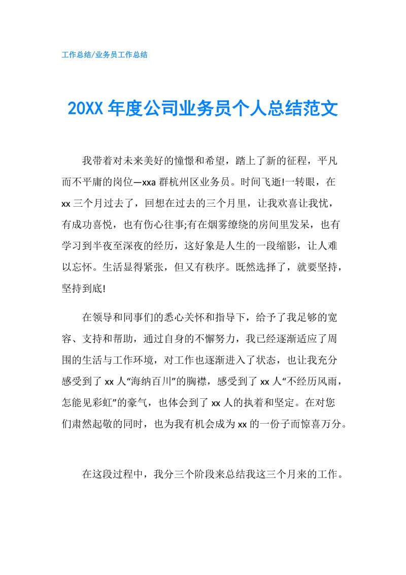 20XX年度公司业务员个人总结范文.doc_第1页