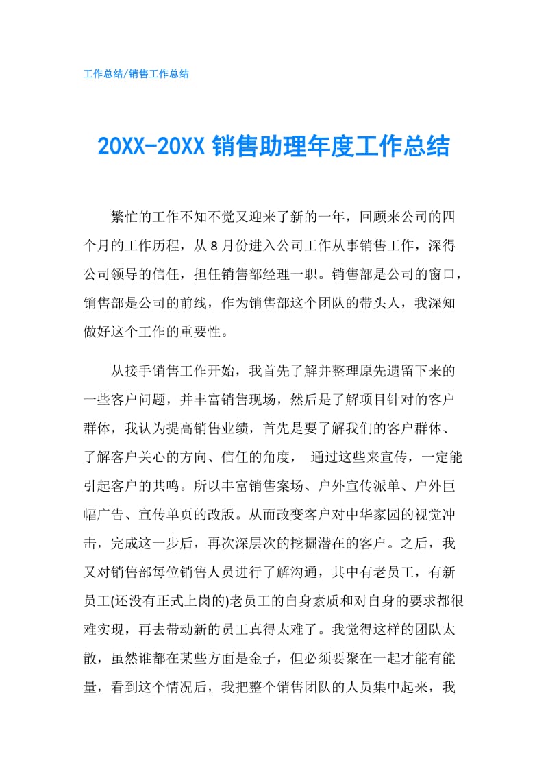 20XX-20XX销售助理年度工作总结.doc_第1页
