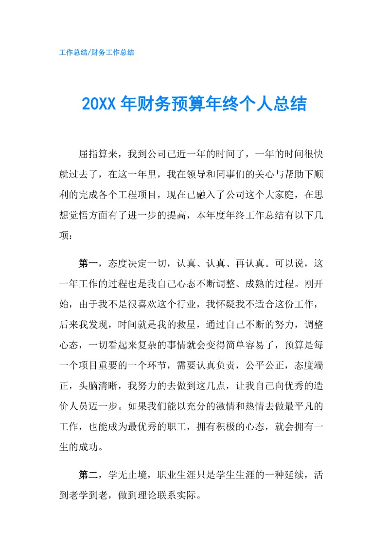 20XX年财务预算年终个人总结.doc_第1页