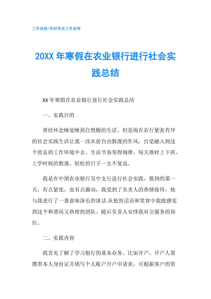 20XX年寒假在農(nóng)業(yè)銀行進(jìn)行社會(huì)實(shí)踐總結(jié).doc