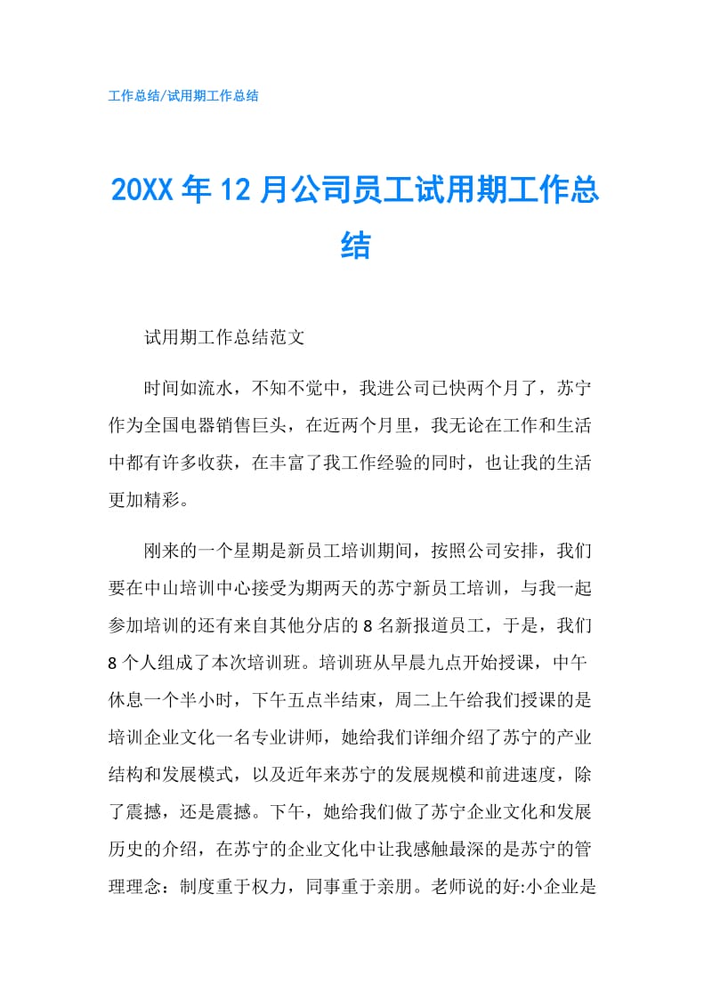 20XX年12月公司员工试用期工作总结.doc_第1页