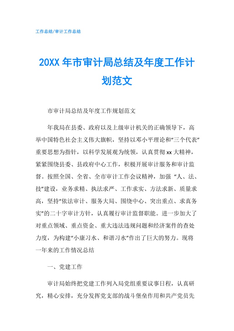 20XX年市审计局总结及年度工作计划范文.doc_第1页