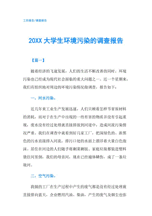 20XX大學(xué)生環(huán)境污染的調(diào)查報(bào)告.doc