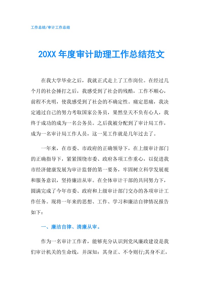 20XX年度审计助理工作总结范文.doc_第1页