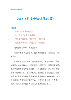 20XX关注安全演讲稿(4篇).doc