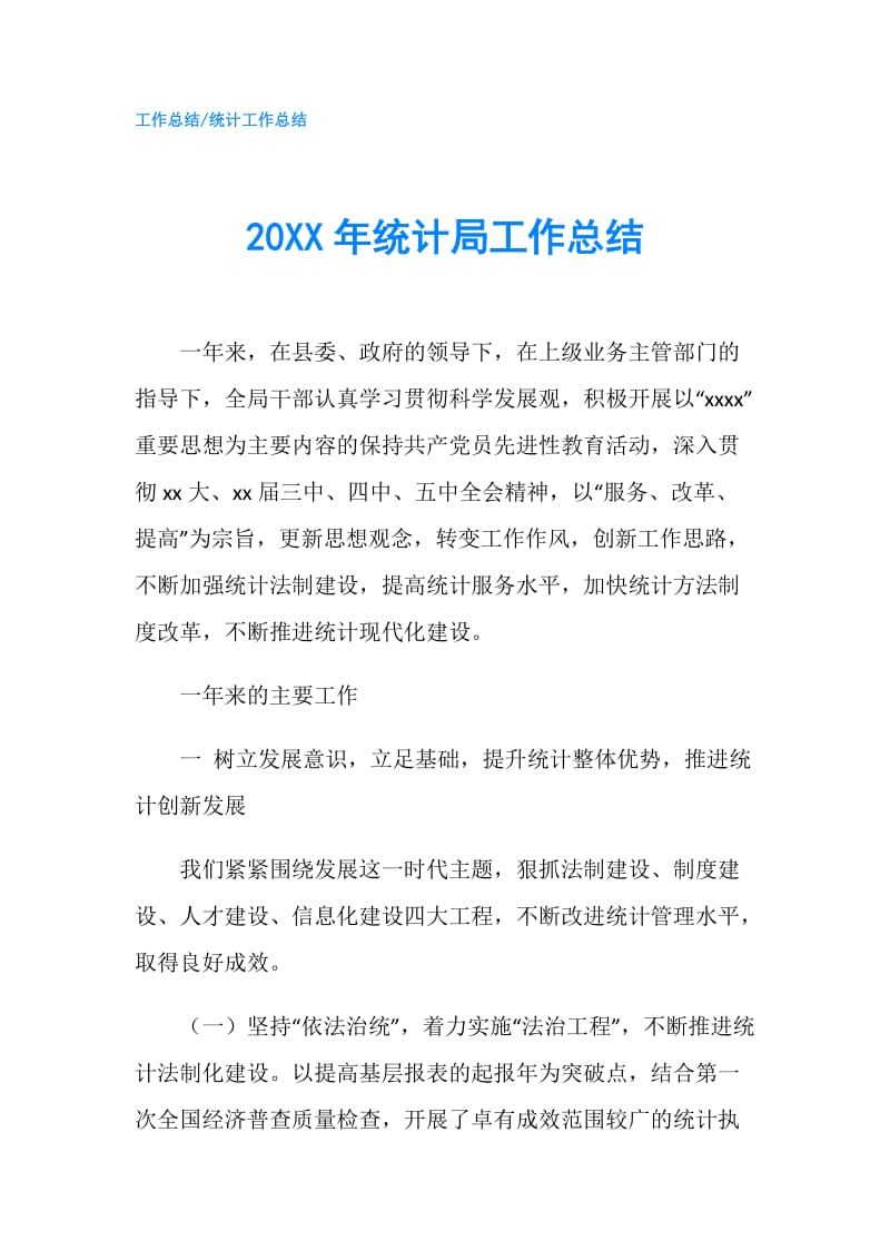 20XX年统计局工作总结.doc_第1页