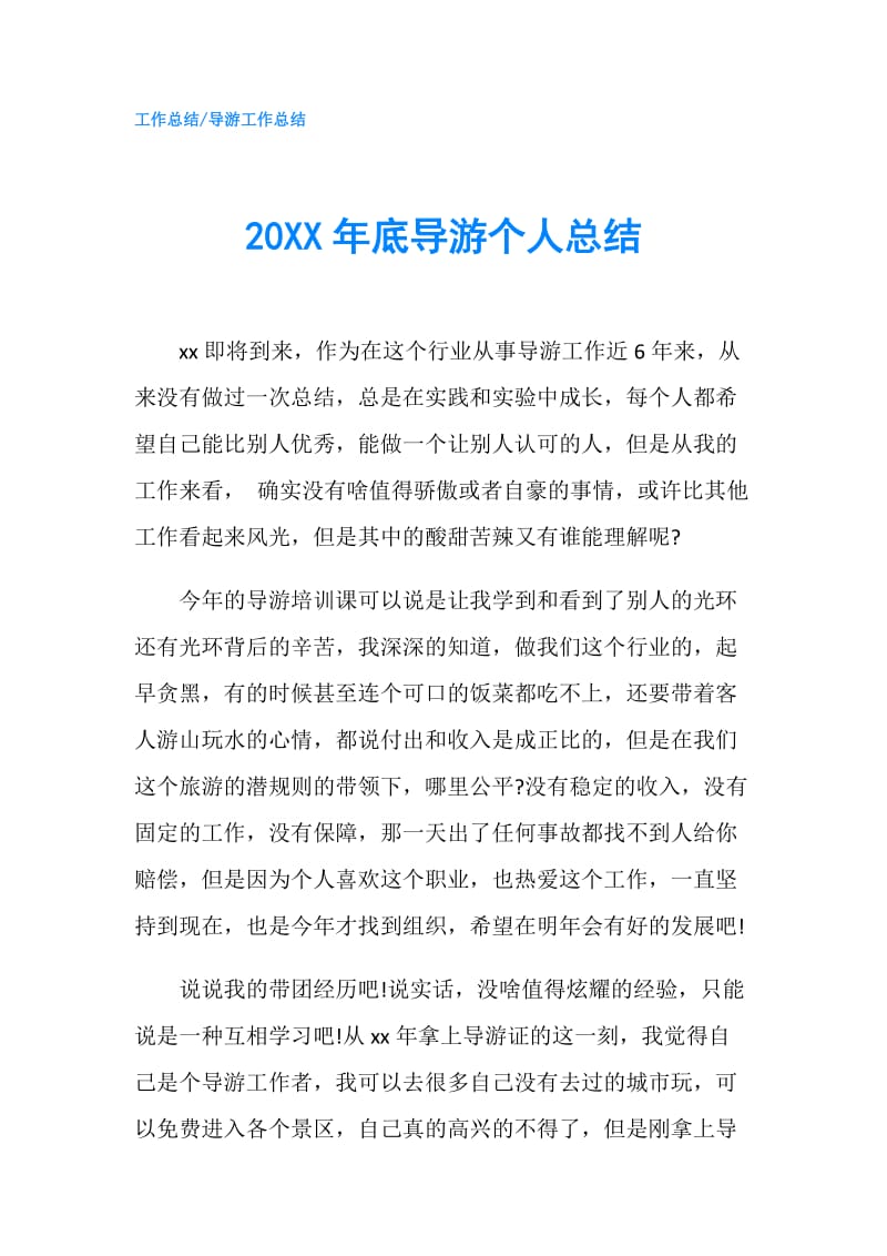 20XX年底导游个人总结.doc_第1页