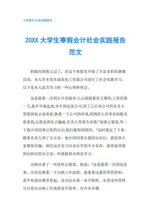 20XX大学生寒假会计社会实践报告范文.doc