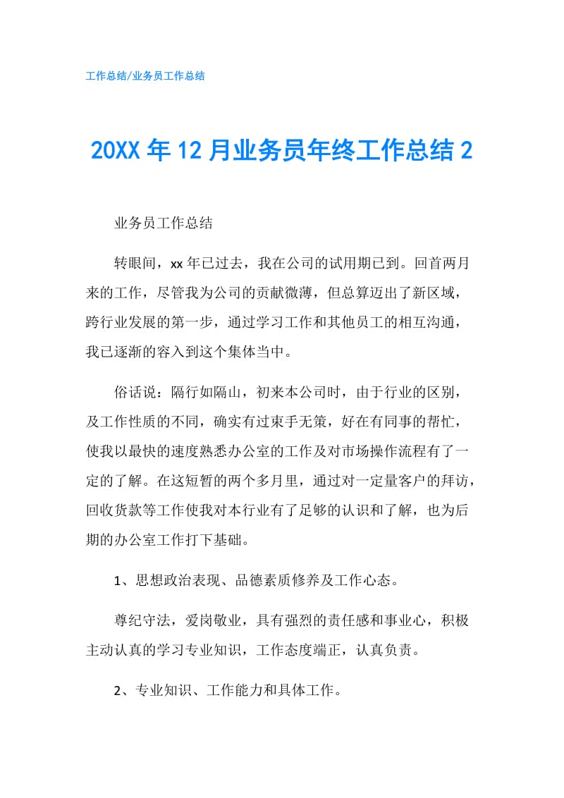 20XX年12月业务员年终工作总结2.doc_第1页