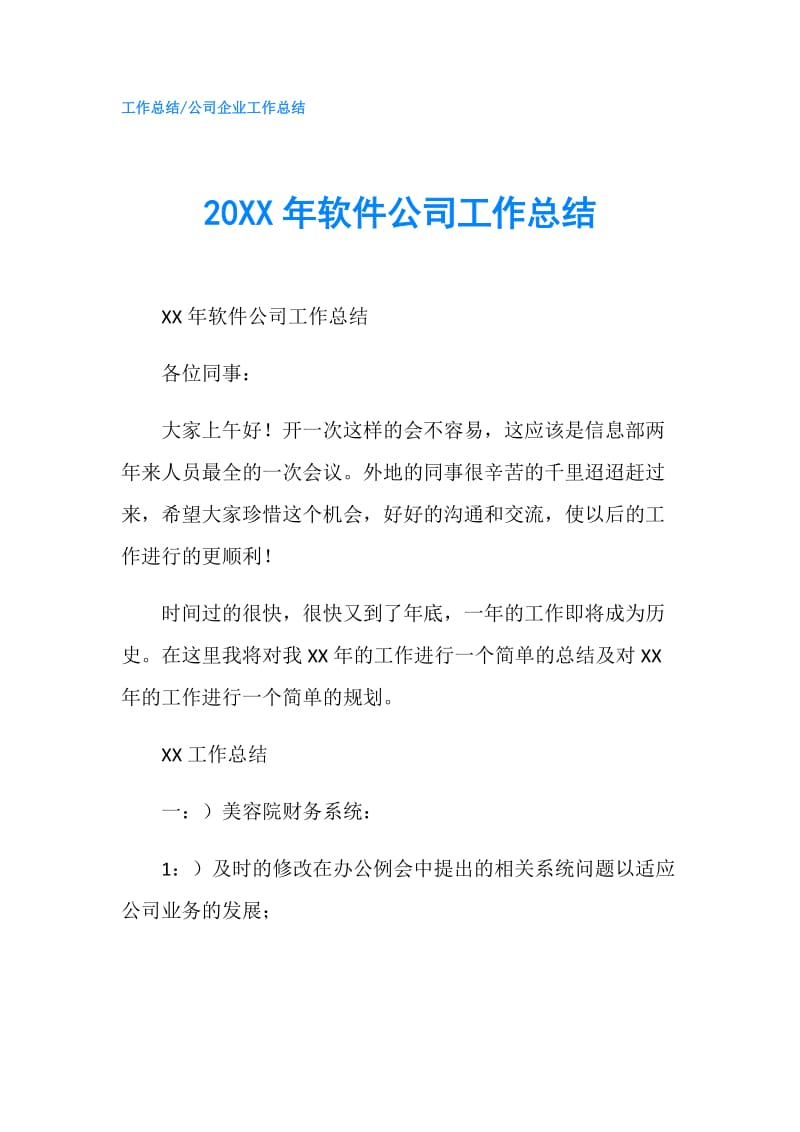 20XX年软件公司工作总结.doc_第1页