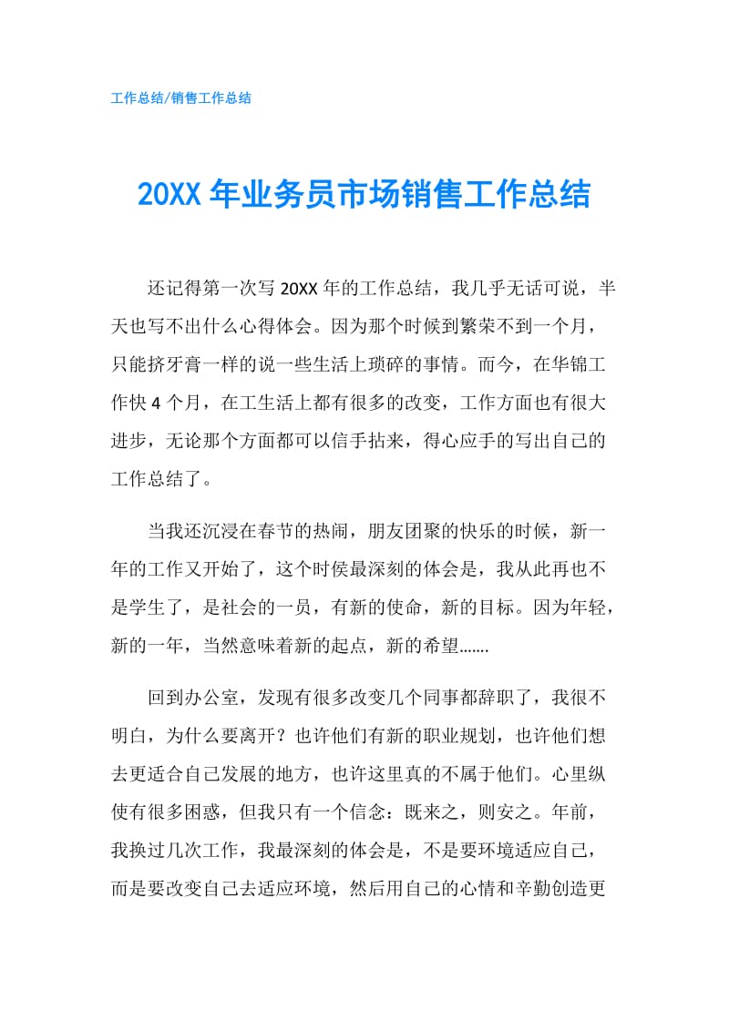 20XX年业务员市场销售工作总结.doc_第1页