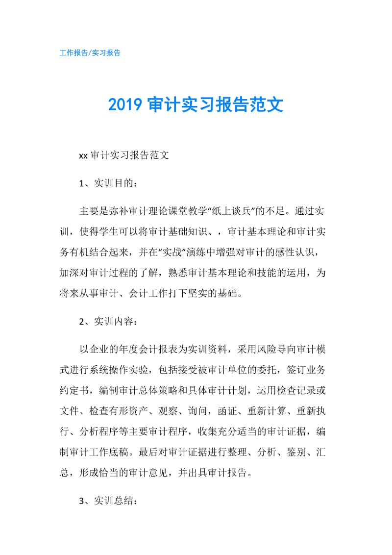 2019审计实习报告范文.doc_第1页