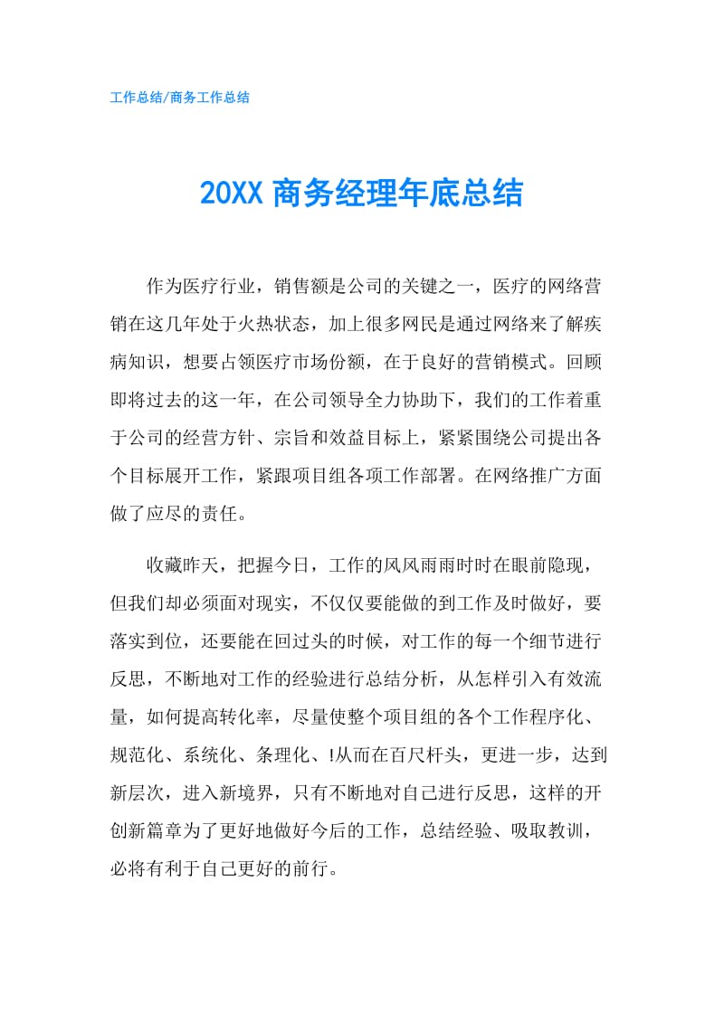 20XX商务经理年底总结.doc_第1页