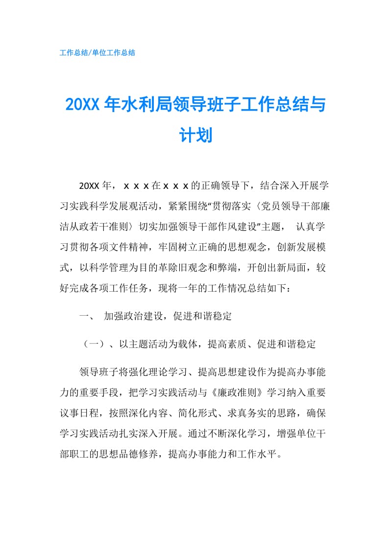 20XX年水利局领导班子工作总结与计划.doc_第1页