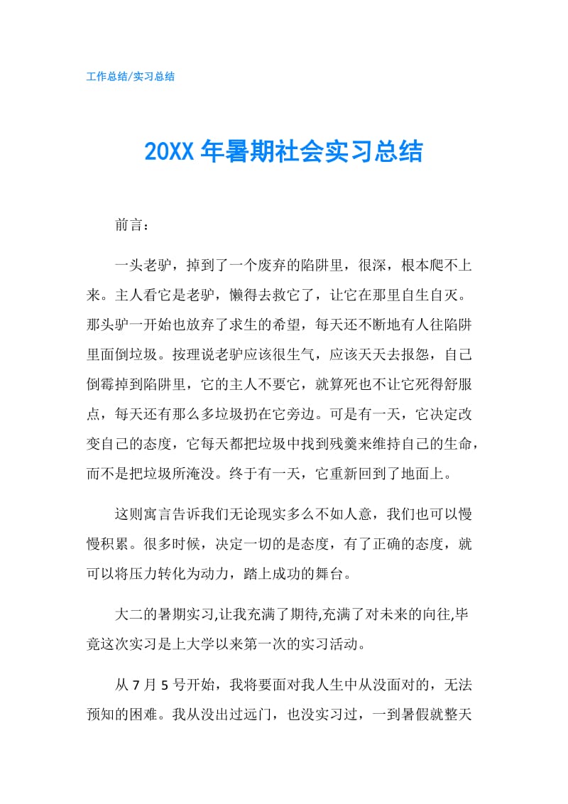 20XX年暑期社会实习总结.doc_第1页