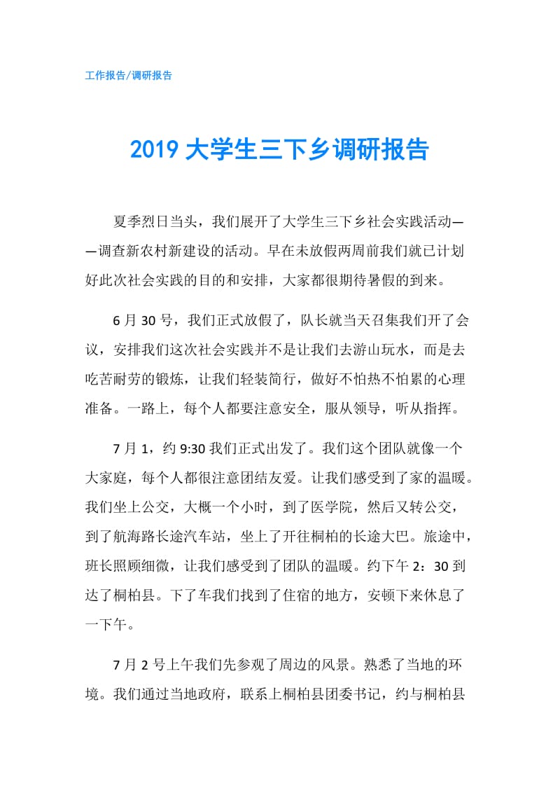 2019大学生三下乡调研报告.doc_第1页