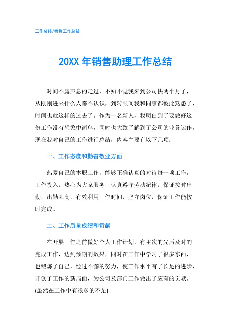 20XX年销售助理工作总结.doc_第1页