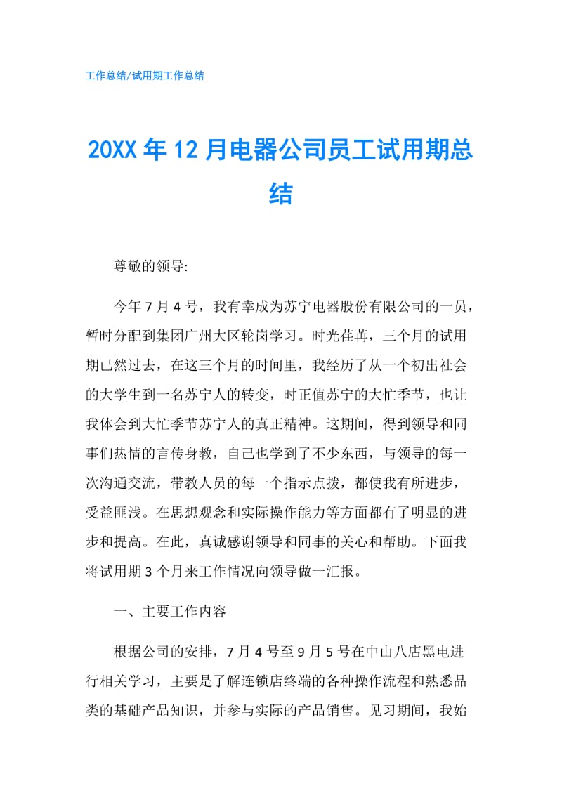 20XX年12月电器公司员工试用期总结.doc_第1页