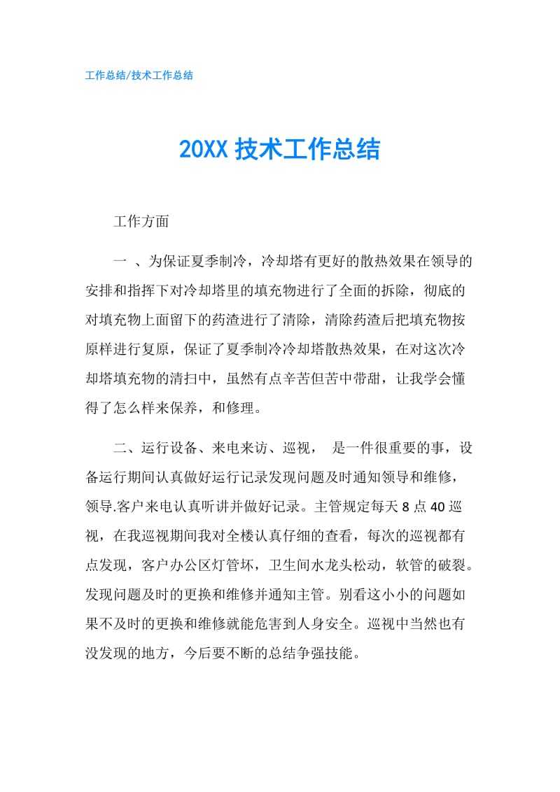 20XX技术工作总结.doc_第1页