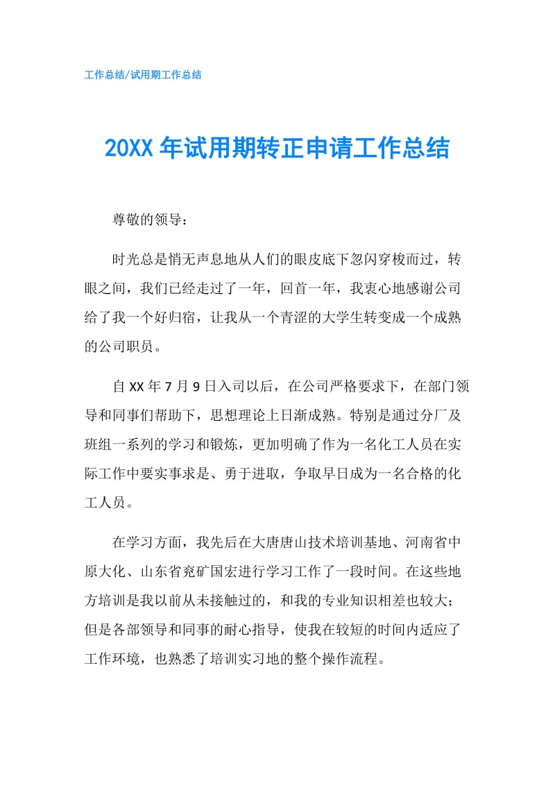 20XX年试用期转正申请工作总结.doc_第1页