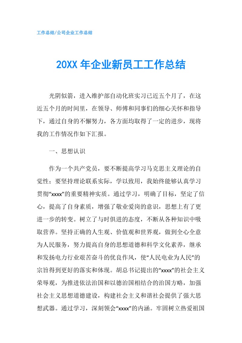 20XX年企业新员工工作总结.doc_第1页