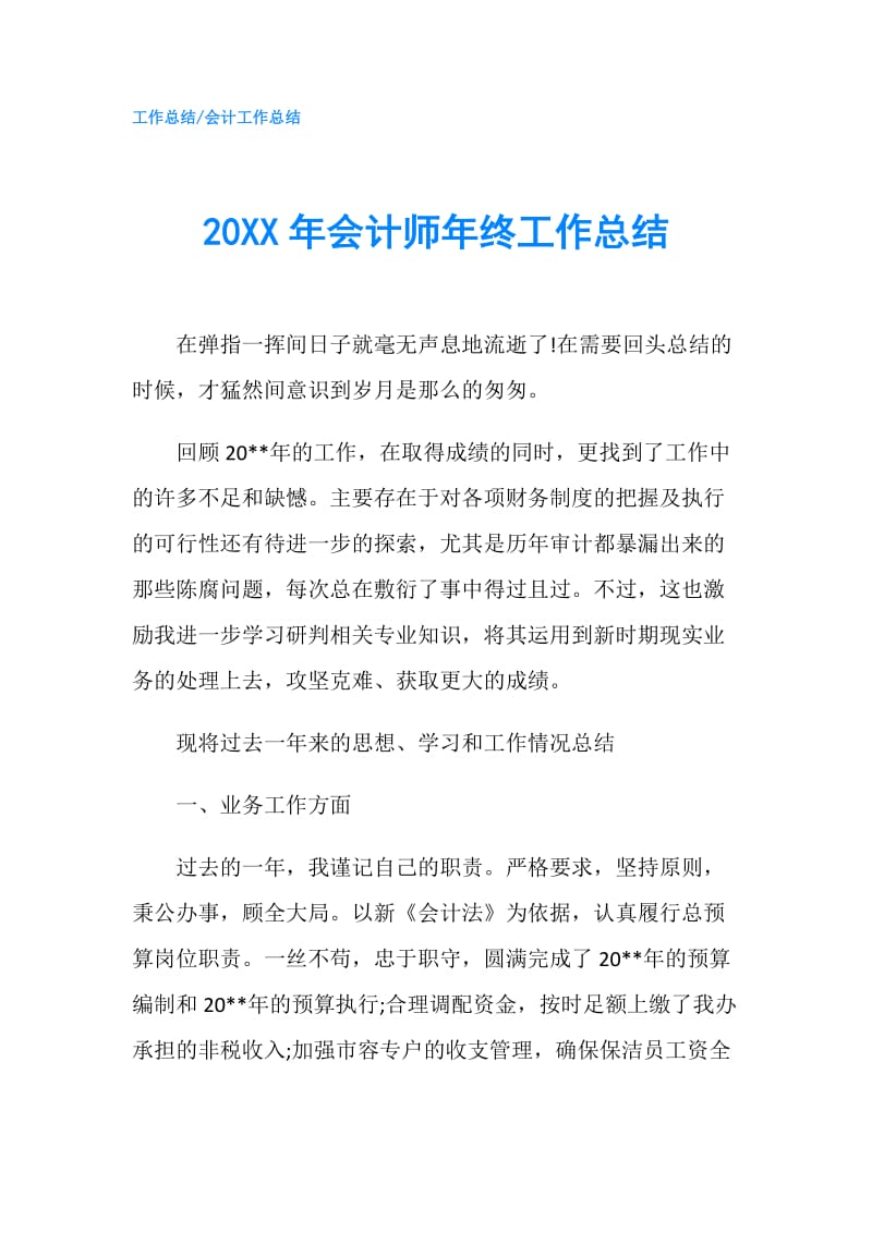 20XX年会计师年终工作总结.doc_第1页