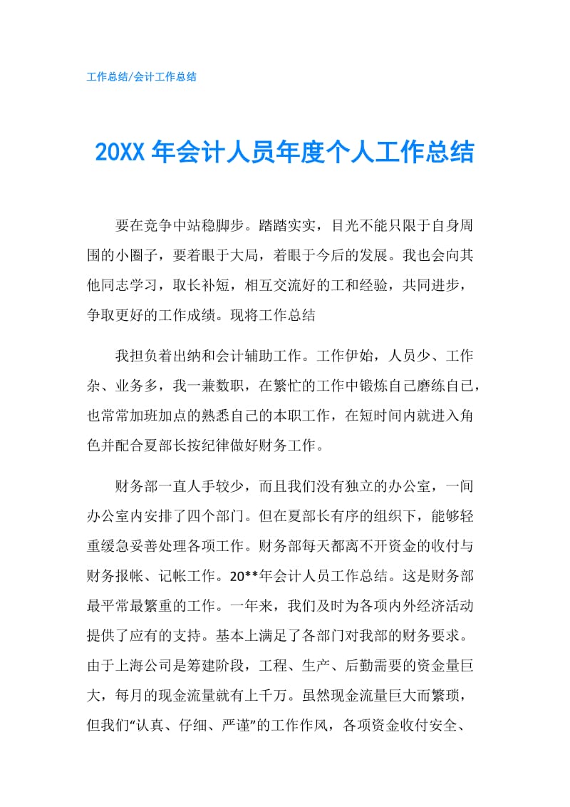 20XX年会计人员年度个人工作总结.doc_第1页