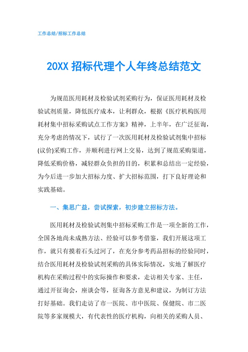 20XX招标代理个人年终总结范文.doc_第1页