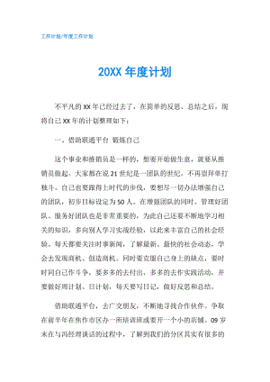 20XX年度计划.doc