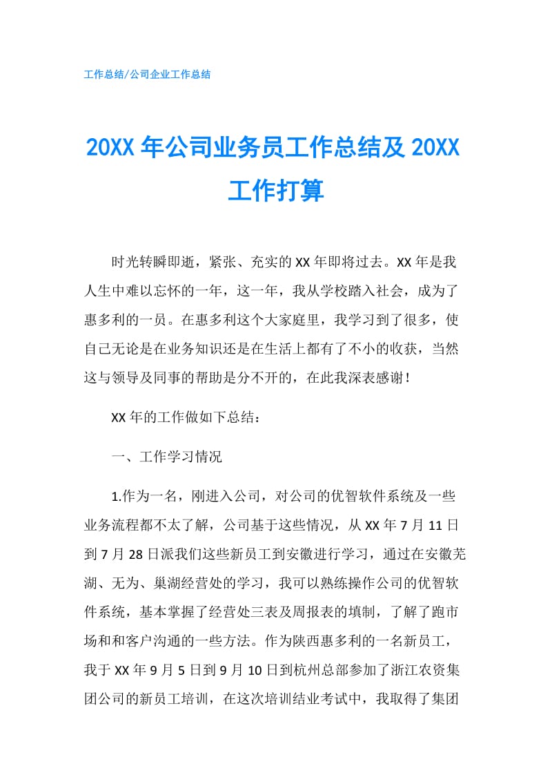 20XX年公司业务员工作总结及20XX工作打算.doc_第1页